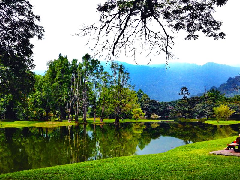 A view at Taiping Lake Garden Smithsonian Photo Contest Smithsonian