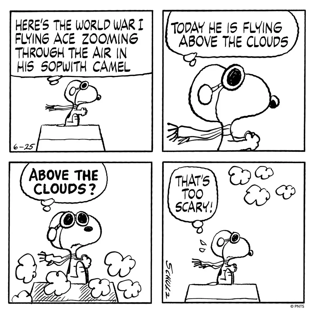 June 25, 1979 "Peanuts" comic strip