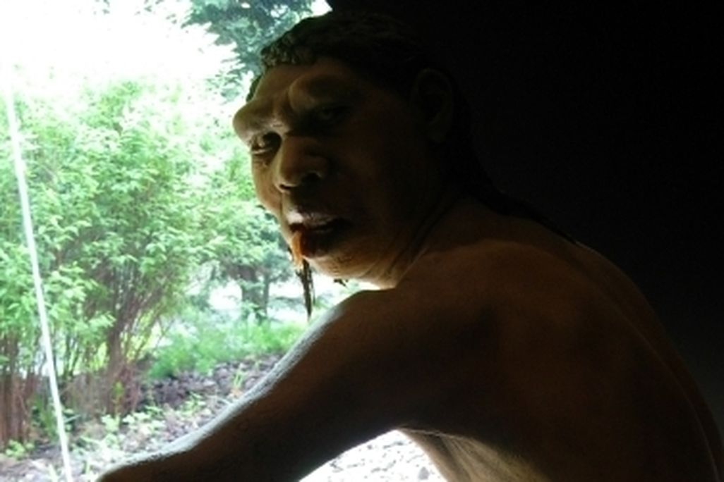 An artist’s reconstruction of Homo antecessor