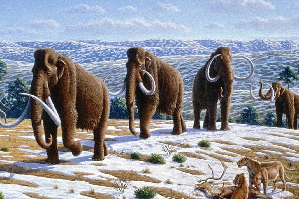 Illustration of woolly mammoths