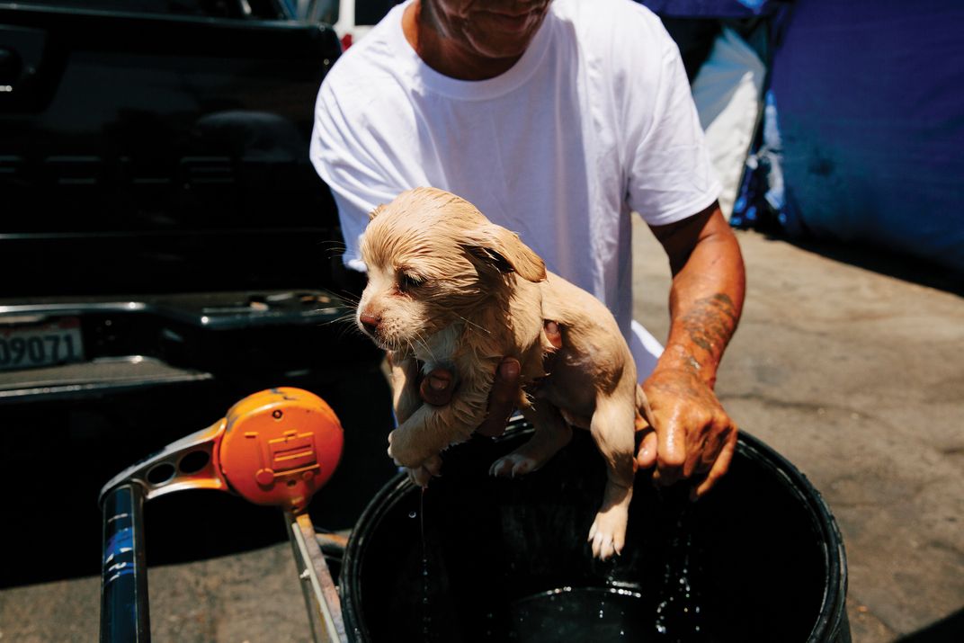 Julian treats a puppy to a bath.