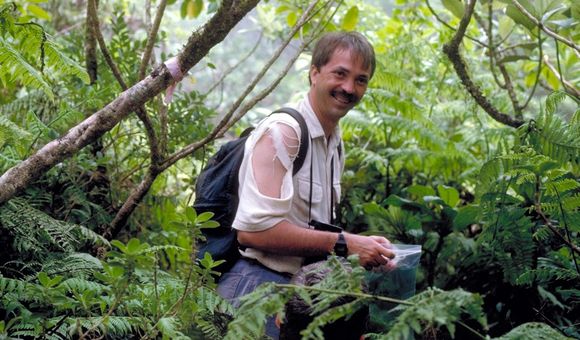 A man wearing a ripped white shirt stands among thick greenery, holding a plastic sample bag