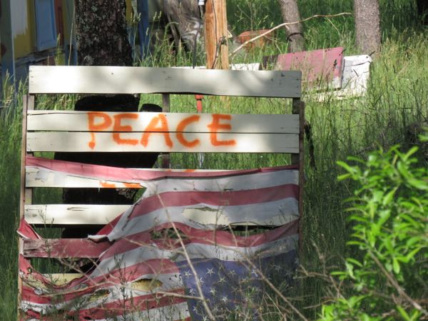 "Peace" thumbnail
