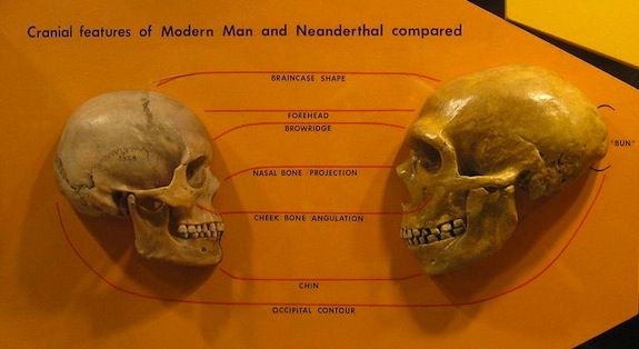 These two skulls are having a moment – but how often did they get together in real life?