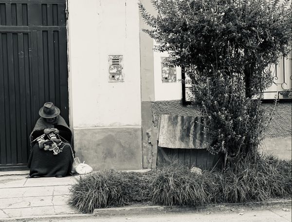 Local grandma in Cusco knitting a blanket for her dog thumbnail