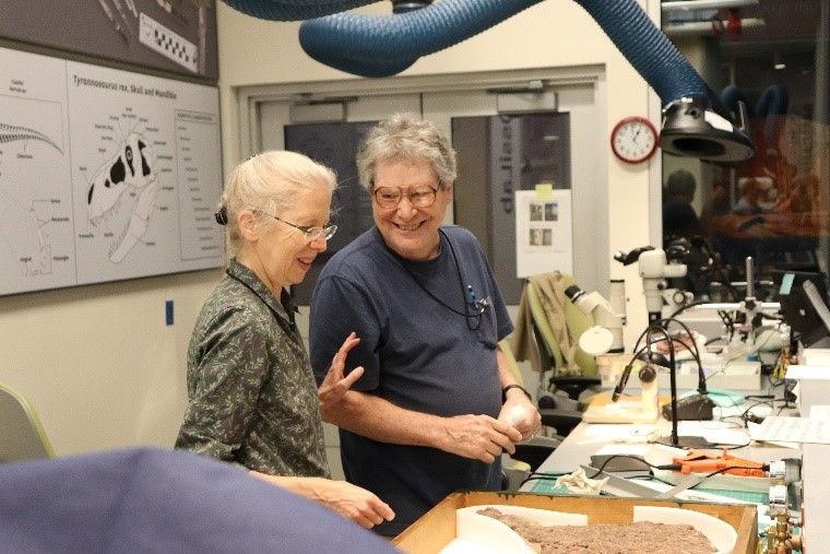 FossiLab manager Abby Telfer and volunteer Harry Iceland at a work space in the FossiLab discussing how to store a fossil.