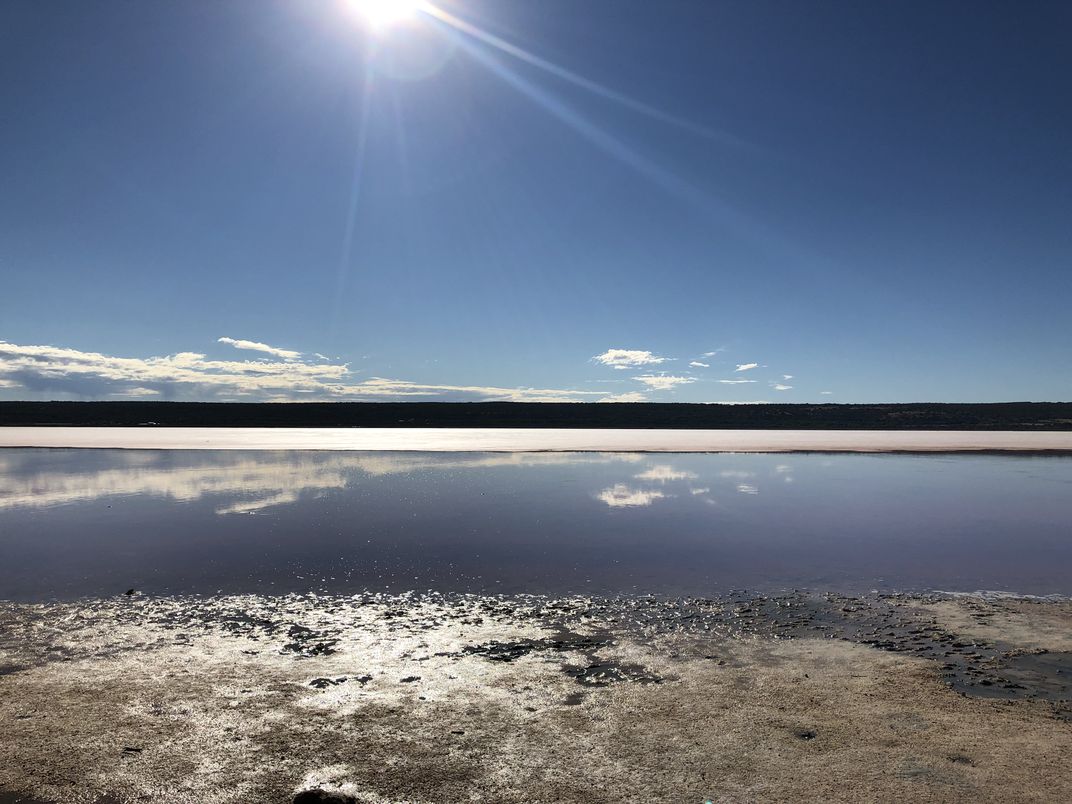 Upside Down | Smithsonian Photo Contest | Smithsonian Magazine