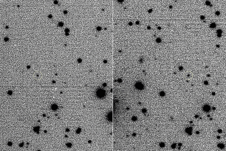 Images of 2015 BZ509 captured by the Large Binocular Telescope Observatory.