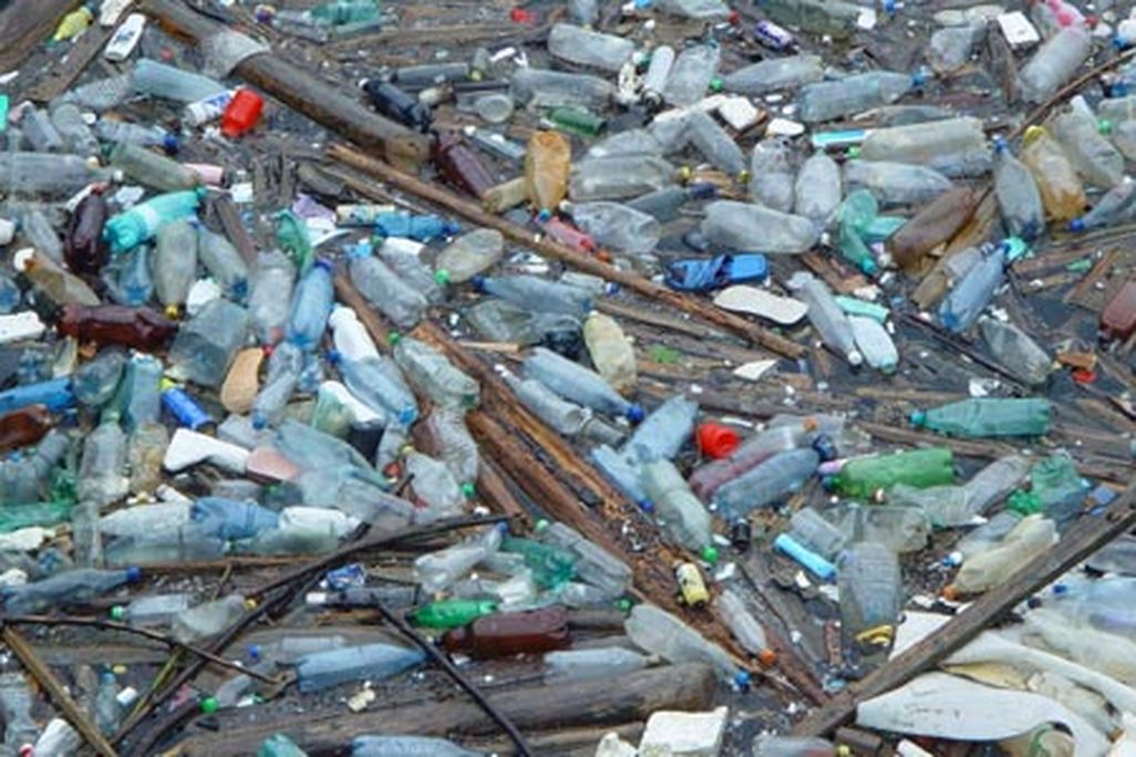 bottles washed up on a beach