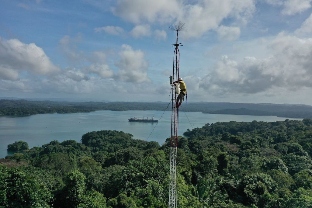 A technician climbing a long pole above a forest