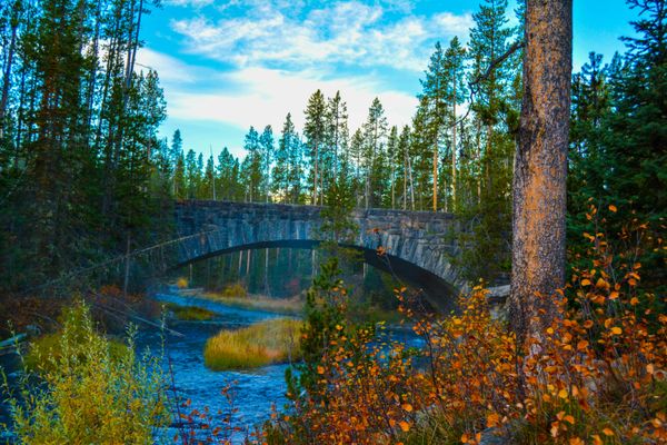 A Bridge in Yellowstone National Park thumbnail