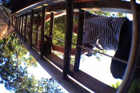 Screen grab from DIY TV’s "Professional Fort Builder: Jay Nelson" 