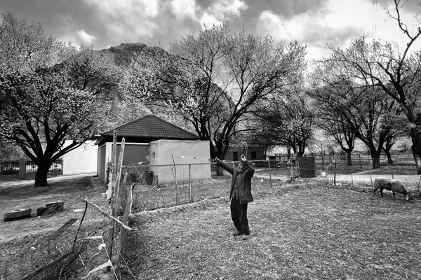 The Shepherd of the Pamir Plateau thumbnail