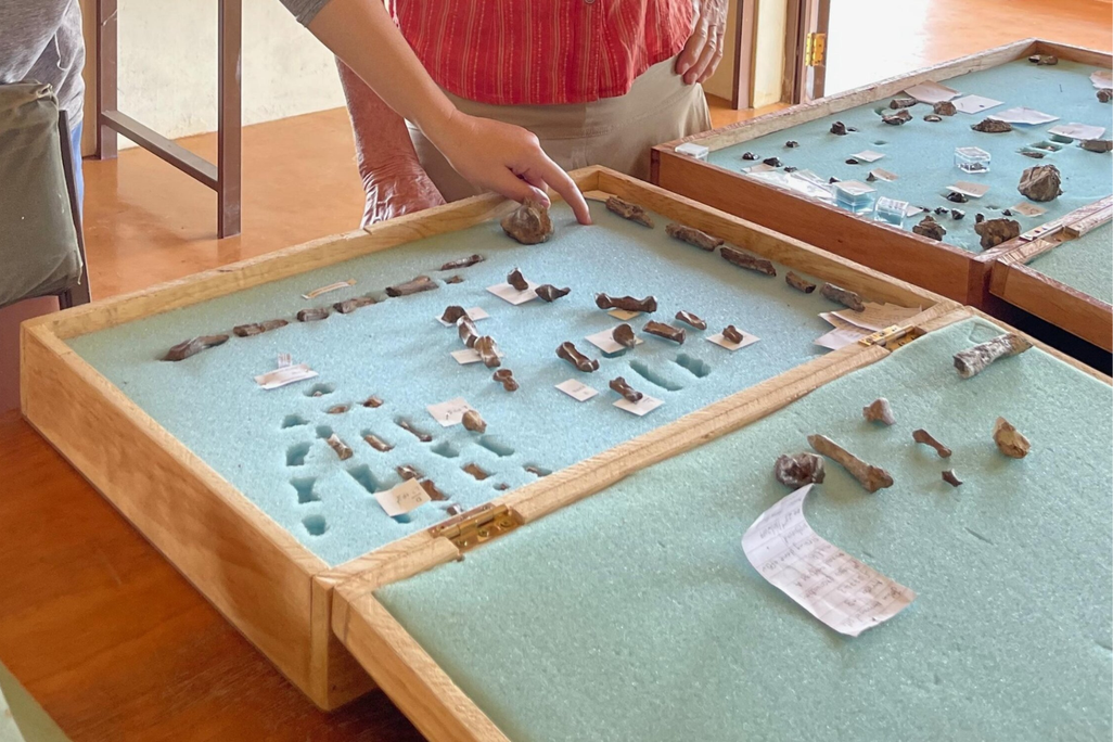 small fossils in a specialized container