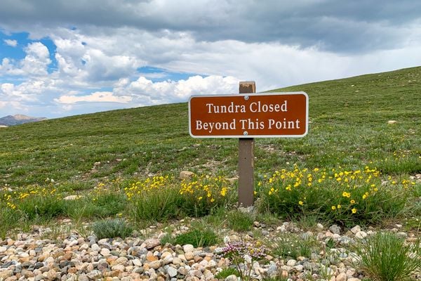 Tundra Closed thumbnail
