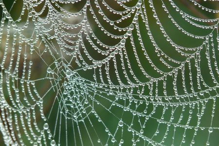 Spider silk is stronger than steel and tougher than Kevlar, but making it in the lab has eluded scientists for decades.