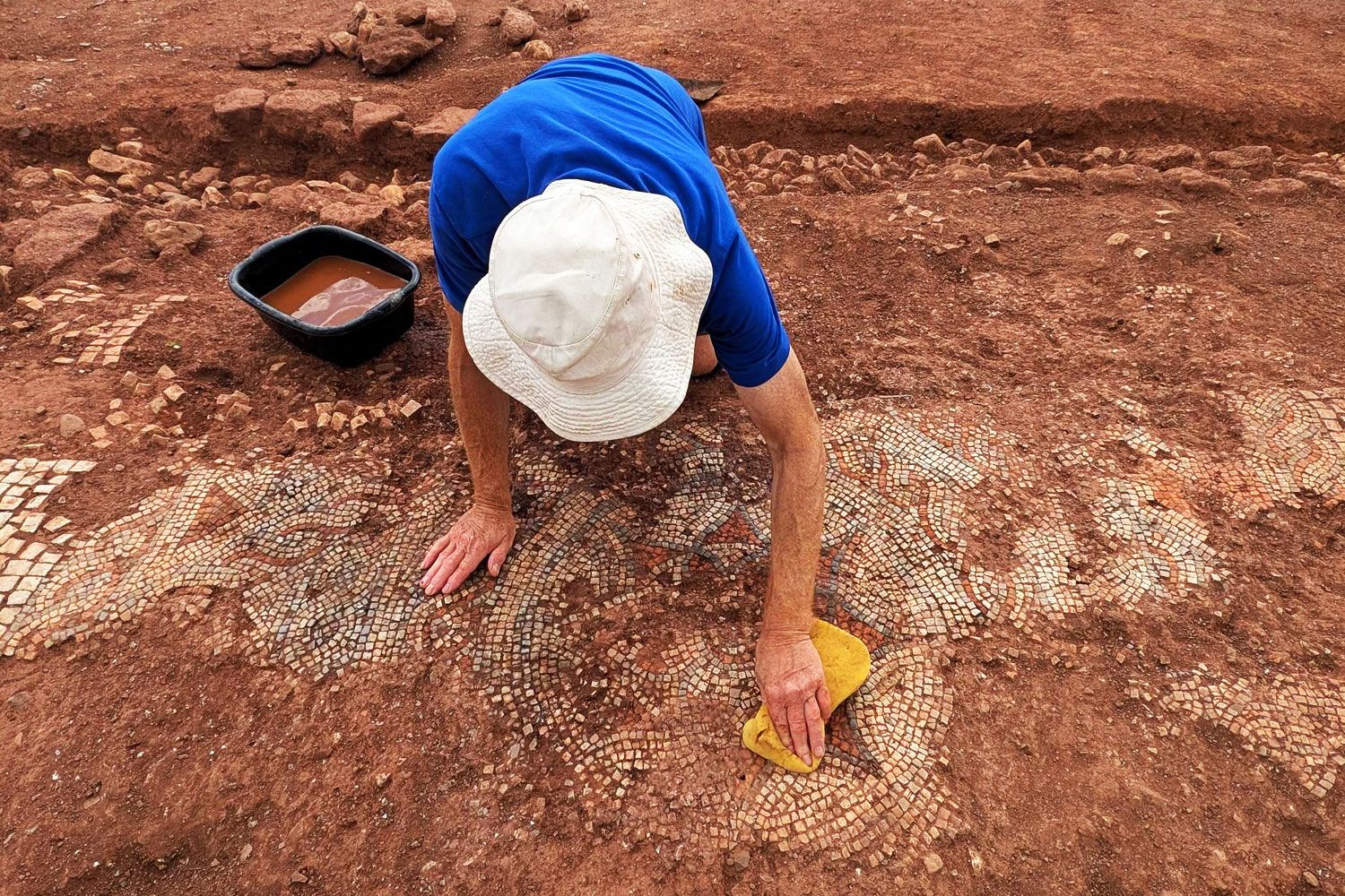 A Metal Detectorist Discovered Tiny Tiles in a Farmer's Field. A Spectacular Ancient Roman Mosaic Was Buried Beneath the Surface