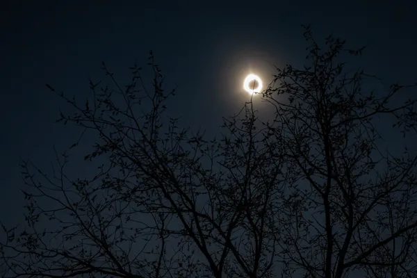 Totality thumbnail