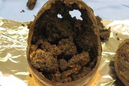 The Heslington brain, revealed intact within a 2,600-year-old skull unearthed near modern day York, England