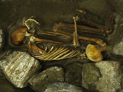 The adult female skeleton