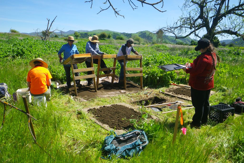 Archaeologists at Muwekma Ohlone site