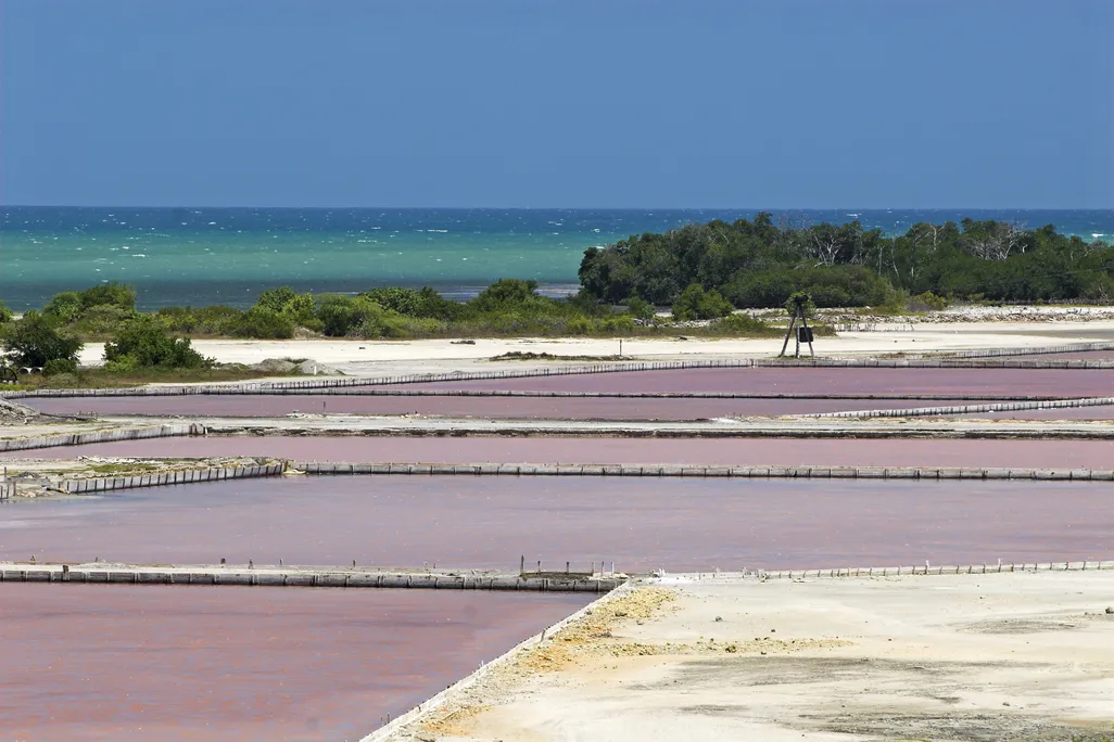 Las Salinas
