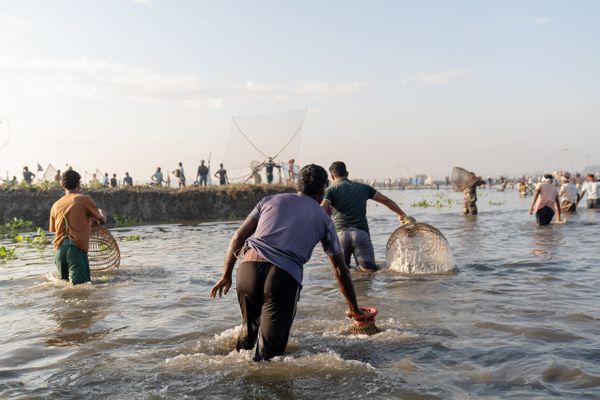 Fishers catching fishes by polo thumbnail