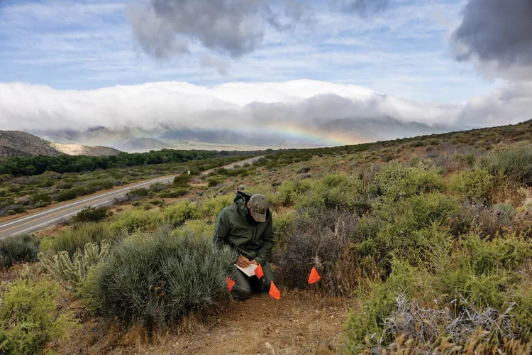 a man crouched down in  wilderness