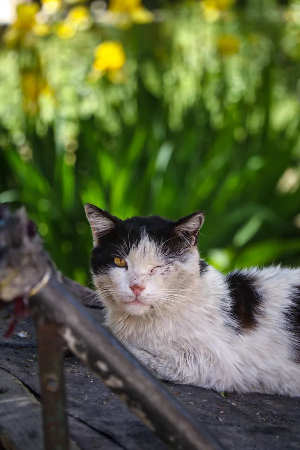 Maryam Naseri thumbnail