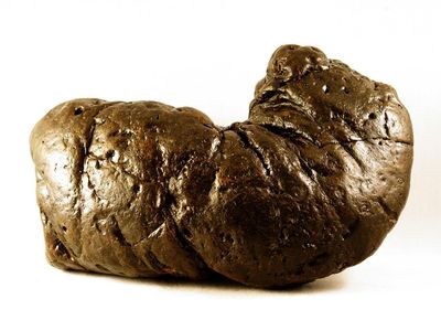 This coprolite specimen, dubbed "Precious," is the largest fossilized feces found to date. Found in South Carolina, it weighs just over four pounds.