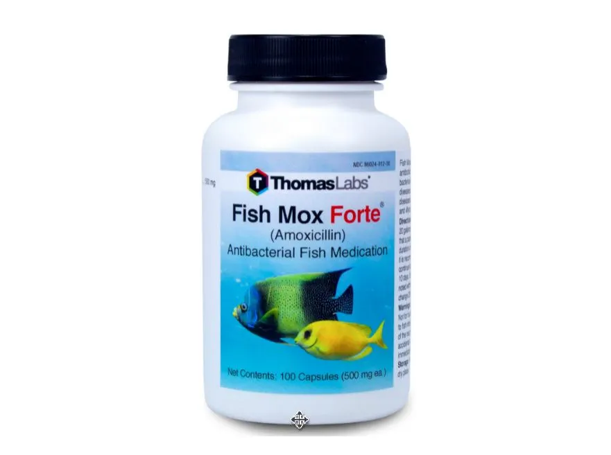 can dogs take fishbiotics amoxicillin 500mg