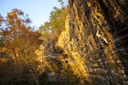 A rock climber in Clifty Wilderness