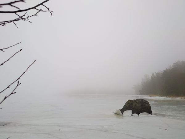 Foggy winter day thumbnail