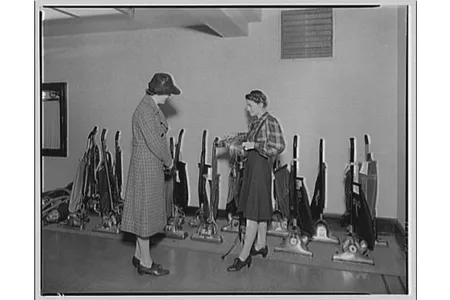 The familiar home vacuum was immediately predated by the carpet sweeper.