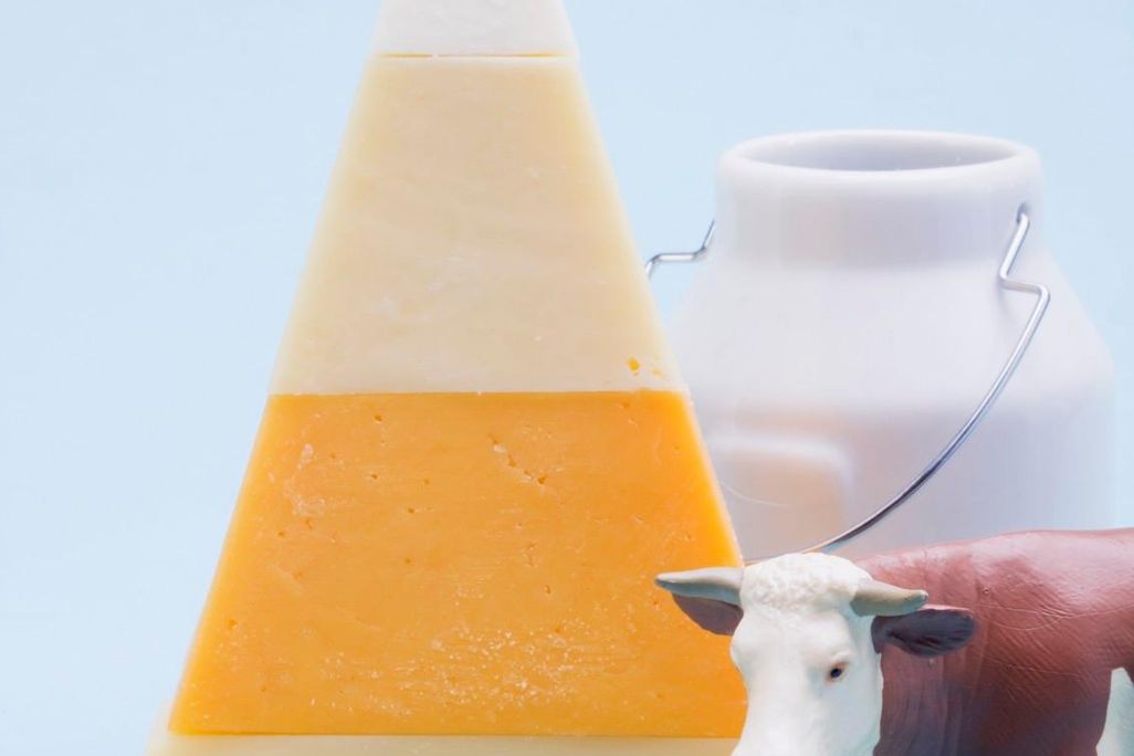 Milk and Cheese
