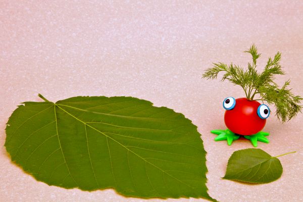 Where is genetics taking us? A composition of common and giant linden leaves, and a tomato beast. thumbnail