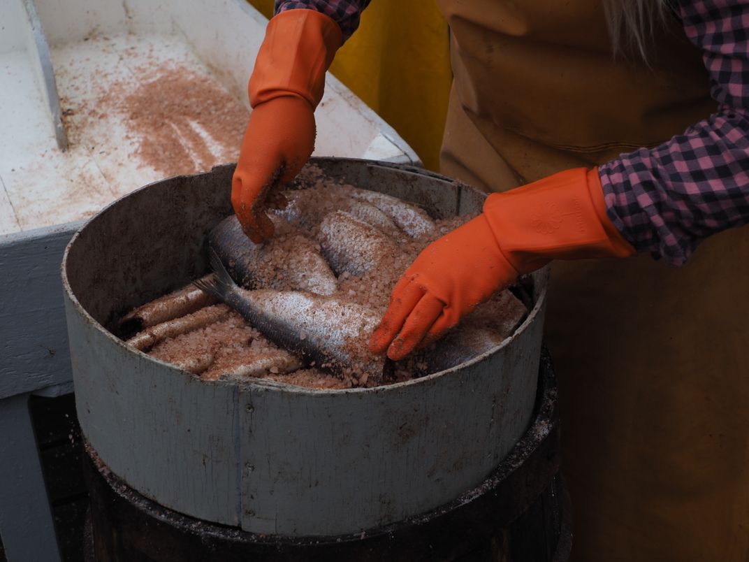 A modern-day salting demonstration at the Herring Era Museum