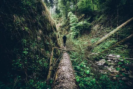 Every so often, people get utterly lost, so lost that they scramble their brains along with their bearings. 