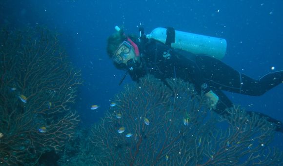 Head scientist at the Smithsonian Marine Station, Valerie Paul, collects blue-green algae samples to study the chemicals they emit. Those chemicals can endanger coral reefs, but also have biomedical potential. (Raphael Ritson-Williams)