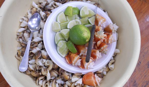 Fighting conch with lime as prepared in Bocas del Toro, Panama. (Felix Rodriguez, STRI)