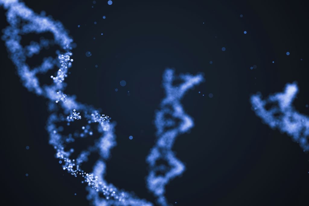 DNA strands