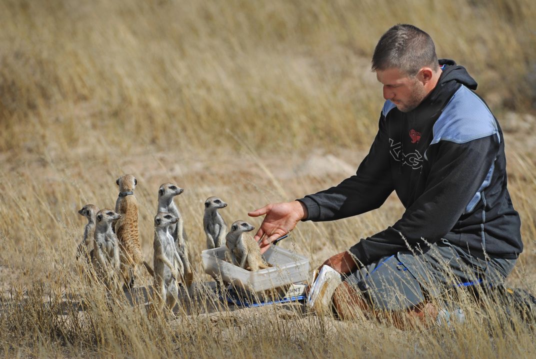 This was taken on the Meerkat project , where Scientist and volunteers ...