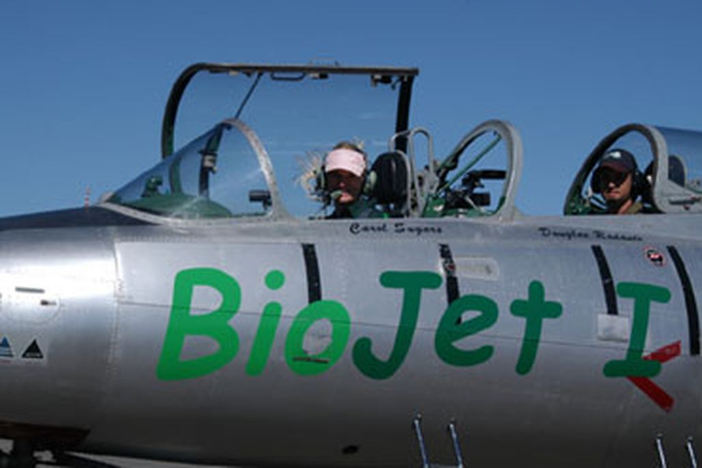 biofuel-main-388.jpg