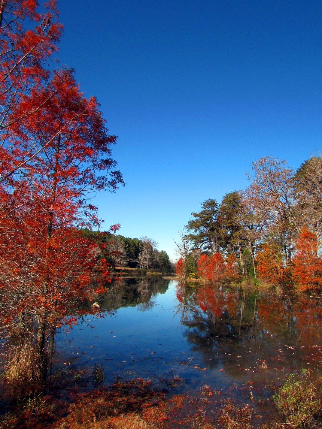 Fall at the Lake | Smithsonian Photo Contest | Smithsonian Magazine