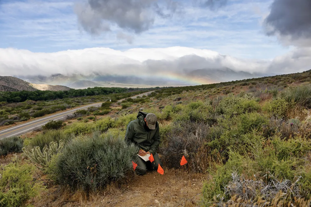 a man crouched down in  wilderness