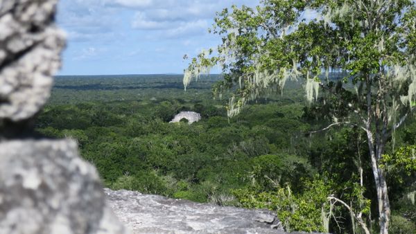Calakmul - “Maya Snake Kingdom” thumbnail