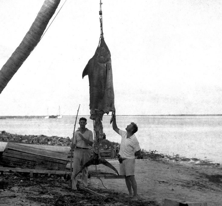 20120629095006hemingway.jpg