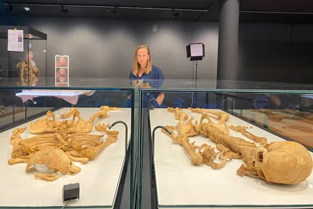 The older man, who died when he was in his 50s, succumbed to an injury likely sustained during a Viking raid. The second, who was in his 20s when he died, was targeted in the St. Brice's Day massacre of 1002.