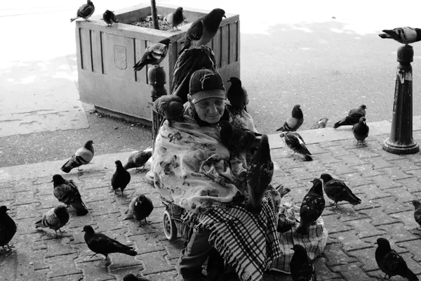 The lady and the birds thumbnail
