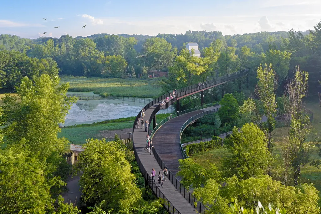 Elevated walkway through canopy of trees